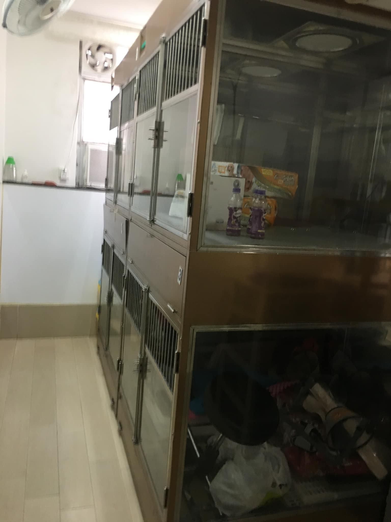 銅鑼灣成立約8年連200-300客底設2房約750呎位於樓上舖寵物用品及寵物美容店生意轉讓 · 2
