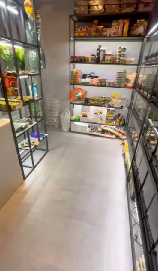 太子經營5年大量熟客行業獨大大量愛好者各種爬蟲零售繁殖連FB, IG, follower共約一萬多寵物店生意頂讓 · 3